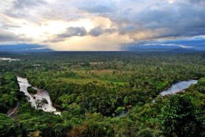Comunidades de la Amazonía decidirán sobre proyectos REDD+ en sus territorios colectivos