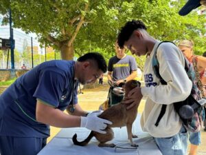 Distrito-inició-caracterización-para-el-bienestar-animal-noticias-y-conceptos