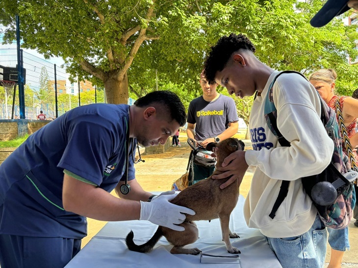 Distrito-inició-caracterización-para-el-bienestar-animal-noticias-y-conceptos