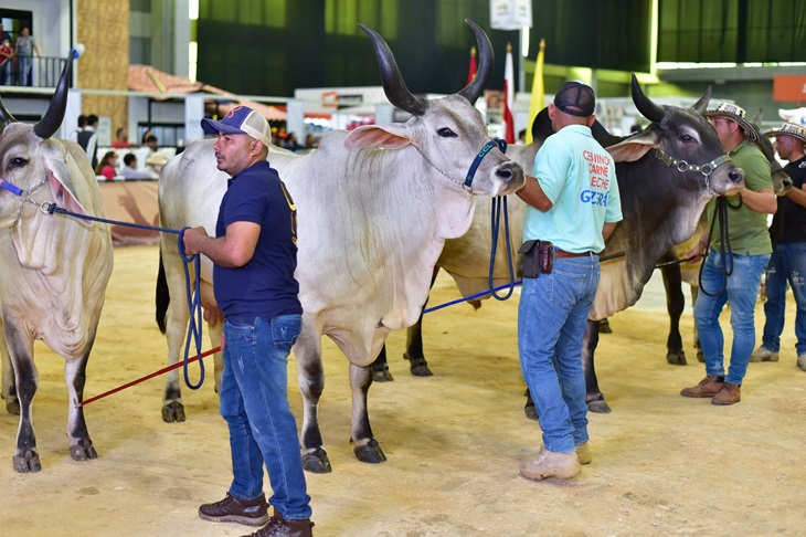 Inicia cuarta edición de Agroexpo Caibe