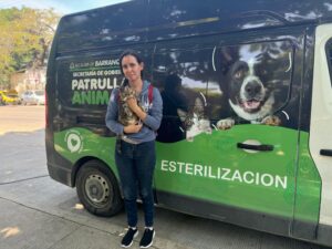 Jornada animal2