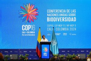 Colombia recibe a más de 190 países que participan en la COP16
