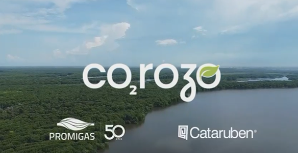 Corozo, iniciativa de Promigas para evitar la emisión de 3,5 millones de toneladas de CO2