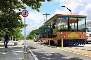Tren Las Flores (6)