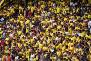 Visitantes y ambiente Colombia-Chile (10)