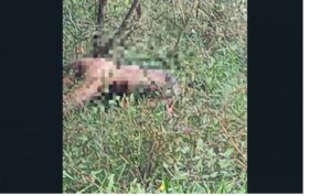 muerto en candelaria