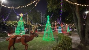Fundación Gases del Caribe recibe la Navidad con un concierto sinfónico (3)