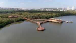 Barranquilla (4)