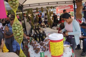 Creatividad e innovación en el Festival de la Ciruela (1)