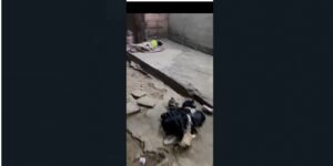 Menor rescatado en soledad