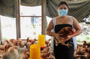 Recomendaciones de la FAO ante reaparición de la influenza aviar en América Latina y el Caribe 
