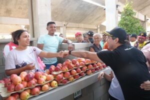 Alcalde (1)