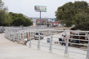 Malecón de Rebolo (4)