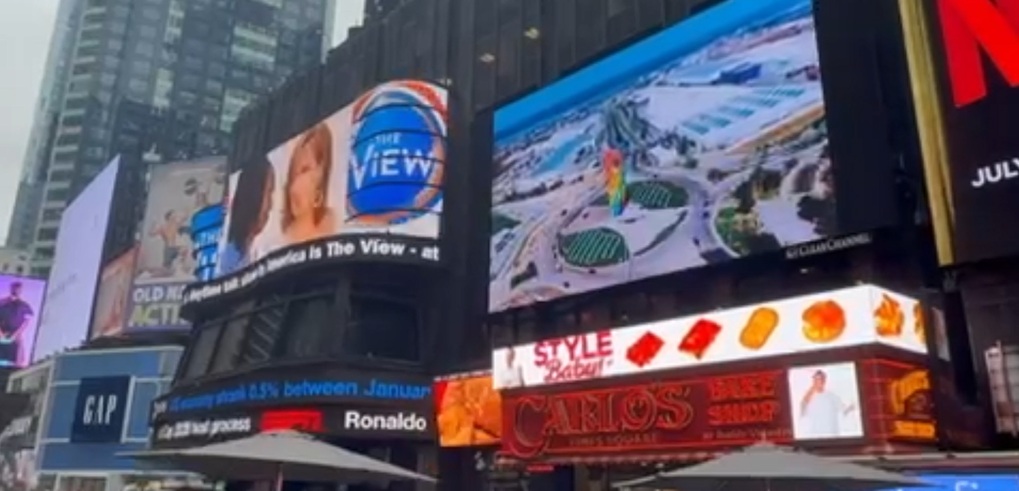 La ocde en new york