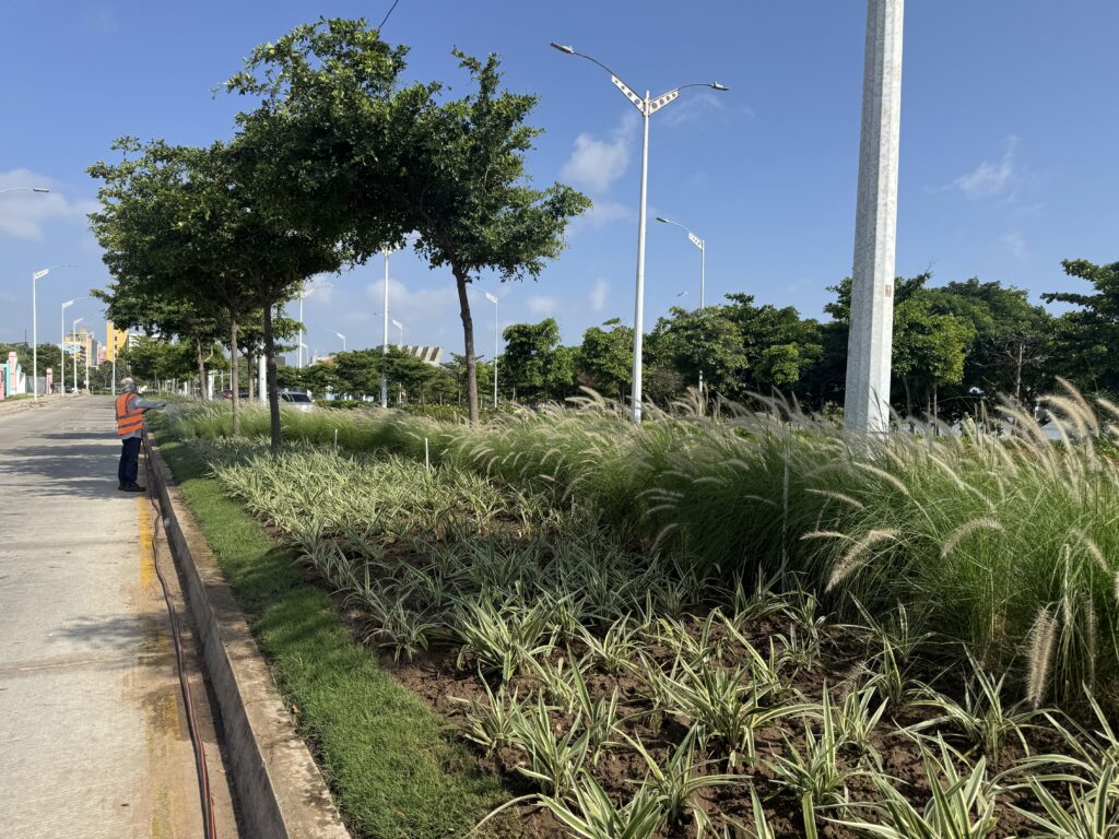 Corredor portuario (1)