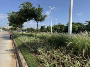 Corredor portuario (1)
