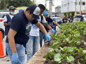 Equipo trabajando
