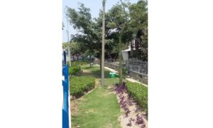 Parque salcedo