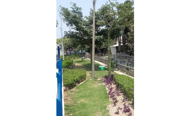 Parque salcedo