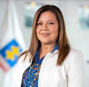 fiscal general