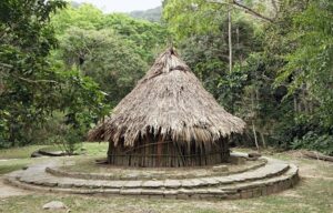 Procuraduría rechaza actos de violencia en la Sierra Nevada de Santa Marta