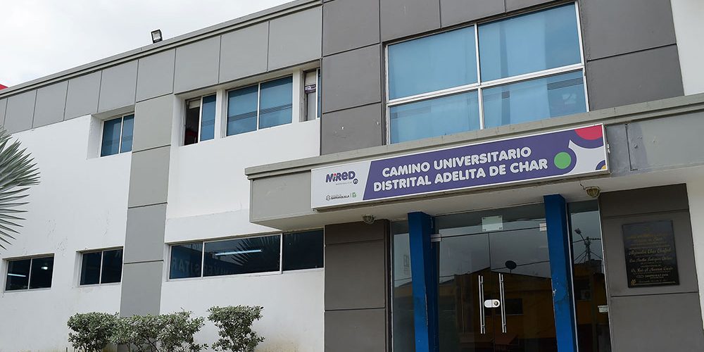 Caminoadelita de char