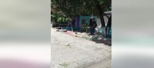 feminicidio en la manga
