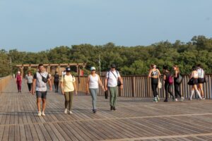 Actividades para receso escolar (7)