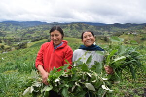 Definida hoja de ruta hacia 2030 para mujeres rurales de América Latina y el Caribe
