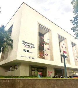 Fundación Gases del Caribe celebra 20 años con arte tejido en crochet (1)