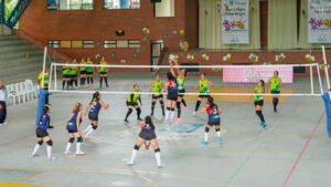 docentes