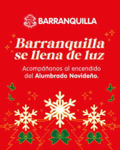 ENCENDIDO NAVIDENO (1)
