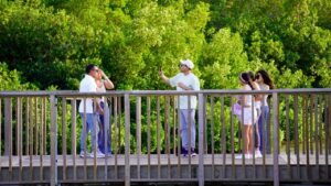 Barranquilla biodiversa (1)