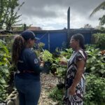 La Alcaldía de Barranquilla le apuesta a convertir residuos vegetales del hogar en abono orgánico