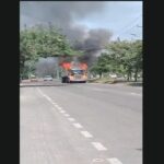 Mula quemada en santa marta