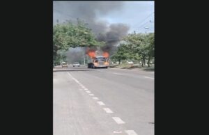 Mula quemada en santa marta