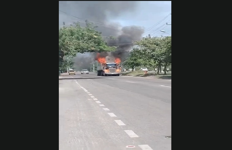 Mula quemada en santa marta