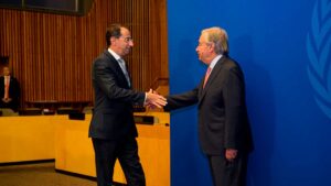 vice ante la Onu