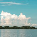 Promigas y Cataruben consolidan la mayor iniciativa privada de conservación forestal en Colombia