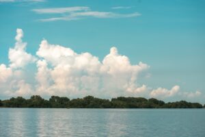 Promigas y Cataruben consolidan la mayor iniciativa privada de conservación forestal en Colombia