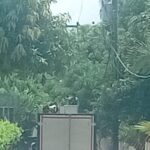 WhatsApp Image 2026-10-18 at 11.41.02 AM