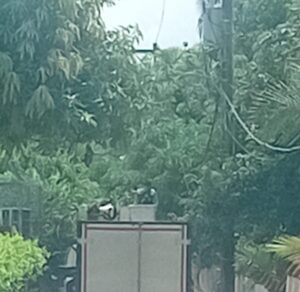 WhatsApp Image 2026-10-18 at 11.41.02 AM